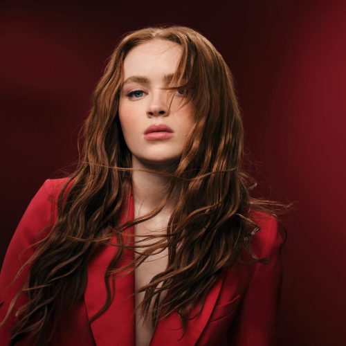 Sadie Sink net worth